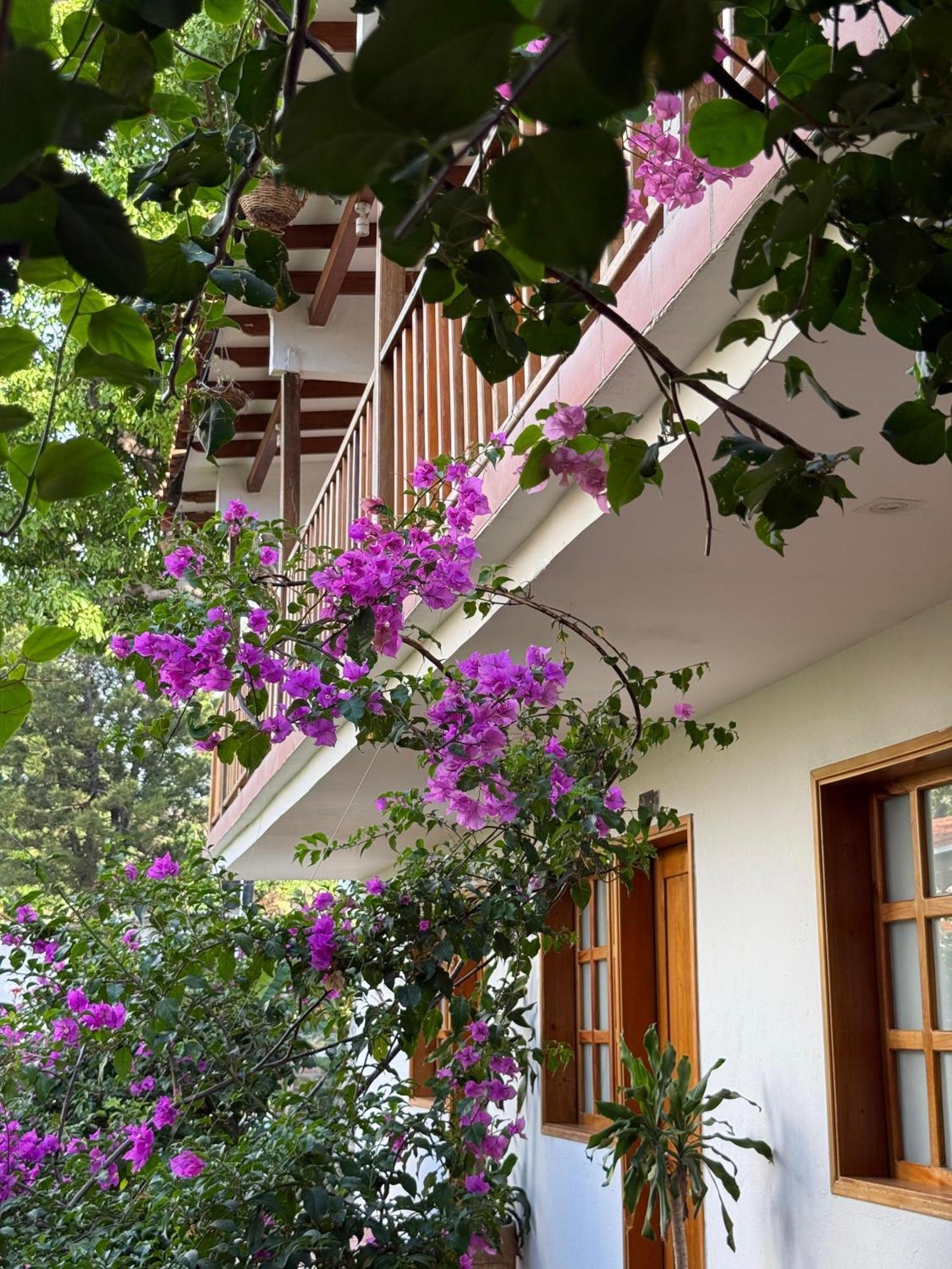 Hotel Jardin Boutique Rodadero Santa Marta  Exteriér fotografie